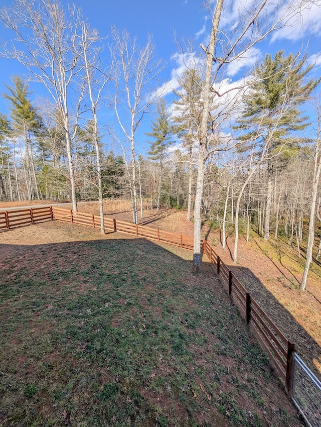 181 Charles Ln, Morganton, GA 30560 - view of yard
