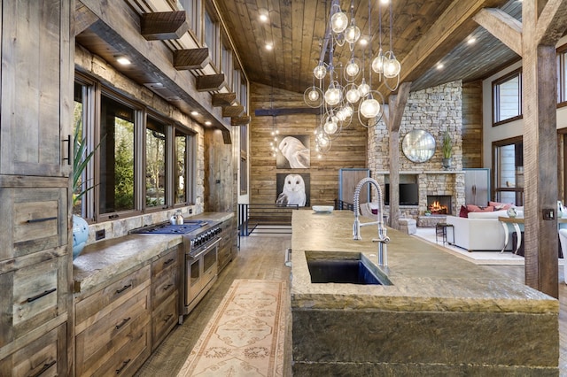 kitchen with a healthy amount of sunlight, range with two ovens, sink, and high vaulted ceiling