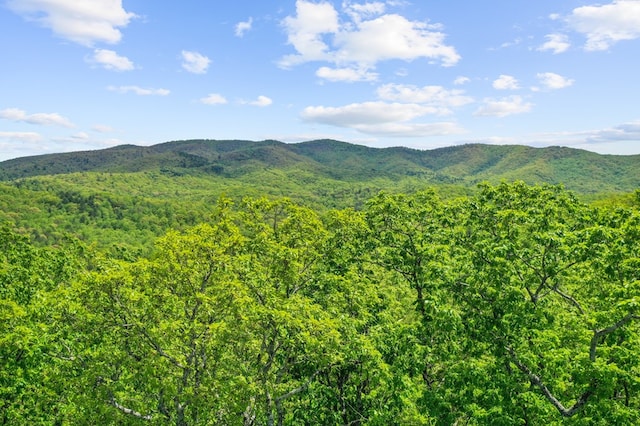 property view of mountains