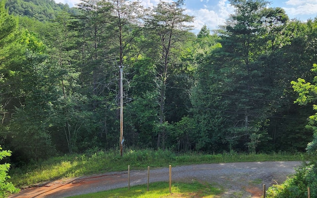 3.5AC Sassafras Ridge Rd, Turtletown TN, 37391 land for sale