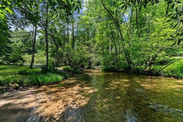 77 Old Covered Bridge Rd, Cherry Log, GA 30522 - view of yard
