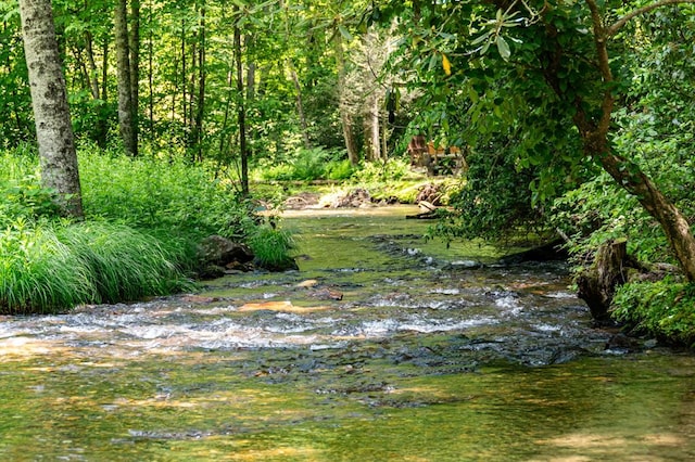 77 Old Covered Bridge Rd, Cherry Log, GA 30522 - view of undeveloped land