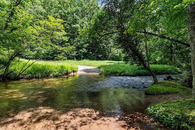 77 Old Covered Bridge Rd, Cherry Log, GA 30522 - view of yard featuring a wooded view