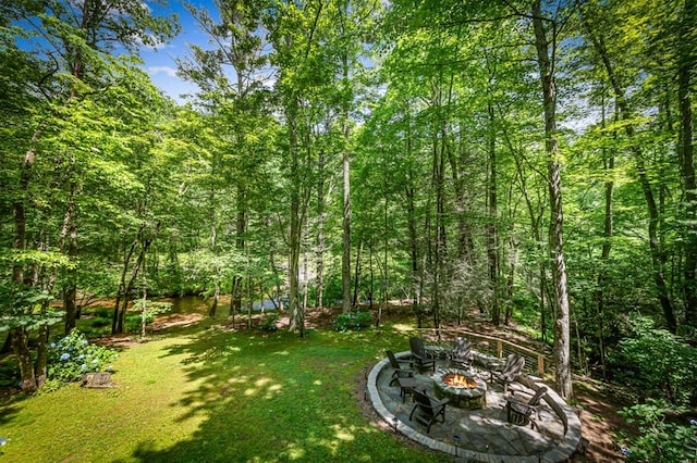 77 Old Covered Bridge Rd, Cherry Log, GA 30522 - view of green lawn with an outdoor fire pit and a forest view