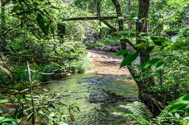 77 Old Covered Bridge Rd, Cherry Log, GA 30522 - view of undeveloped land