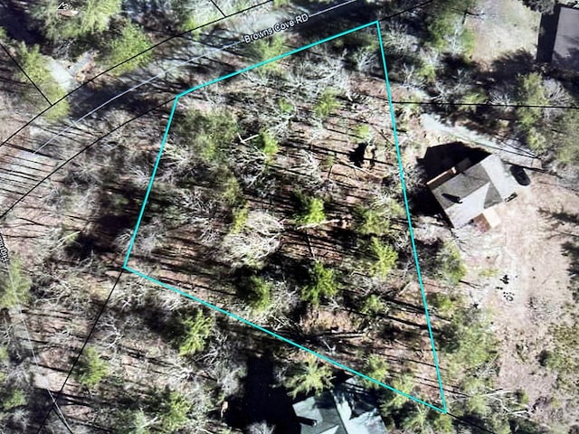 Listing photo 3 for LOT4 Browns Cove Rd, Blue Ridge GA 30513