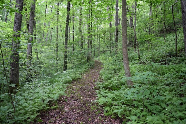 view of landscape featuring a forest view