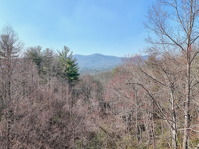 mountain view with a forest view