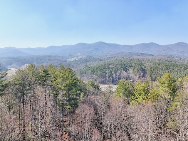 mountain view with a wooded view