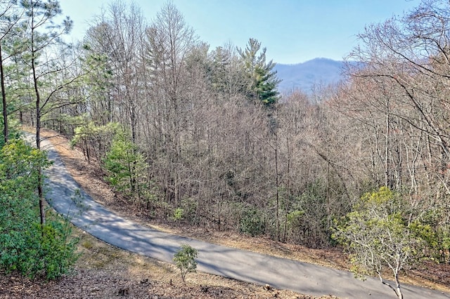 mountain view with a forest view