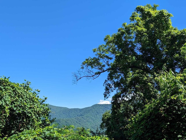 LOT5 Hickory Rdg, Hayesville, NC 28904