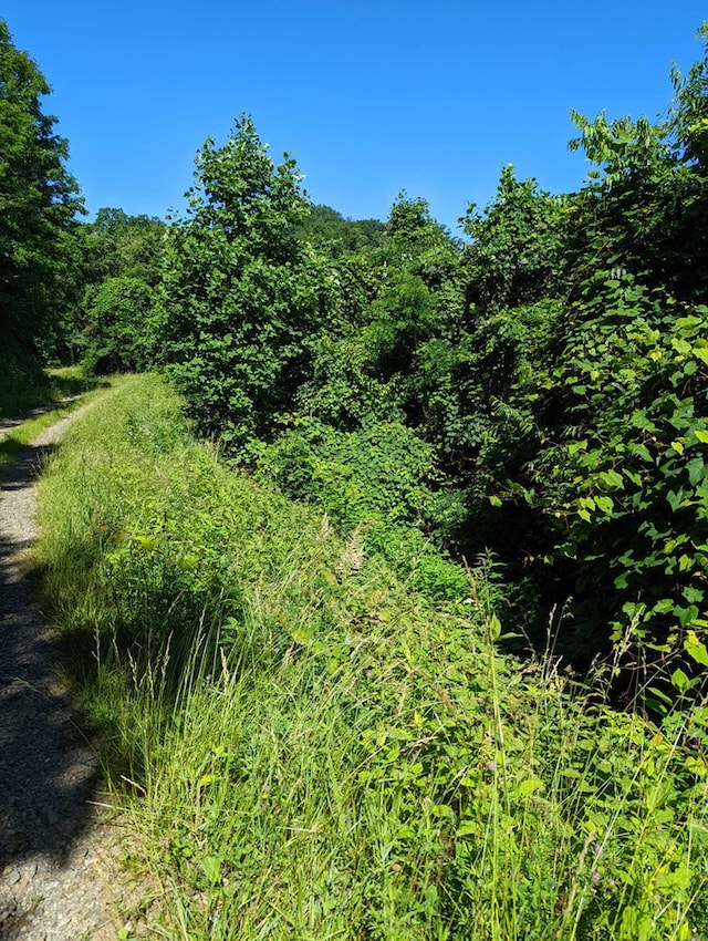 LOT5 Hickory Rdg, Hayesville, NC 28904
