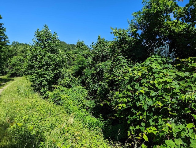 LOT5 Hickory Rdg, Hayesville, NC 28904