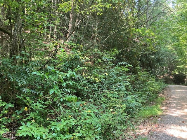 5.8 Copper Creek Rd, Murphy NC, 28906 land for sale