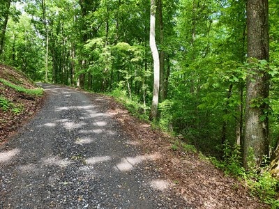 Listing photo 3 for 14B Rainbow Rdg, Hiawassee GA 30546