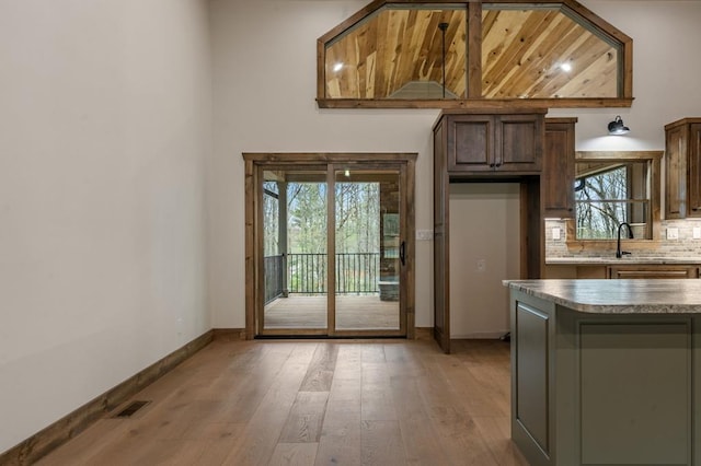 doorway to outside featuring a healthy amount of sunlight, sink, and light hardwood / wood-style flooring