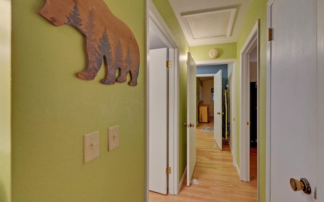 5557 Joe Brown Hwy, Murphy, NC 28906 - corridor with light wood-style floors and baseboards