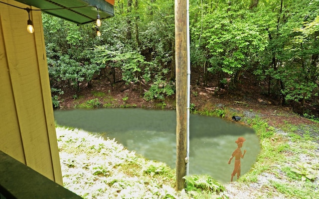 5557 Joe Brown Hwy, Murphy, NC 28906 - view of yard with a water view
