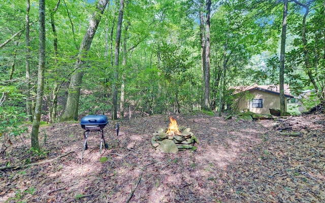 5557 Joe Brown Hwy, Murphy, NC 28906 - view of yard with an outdoor fire pit