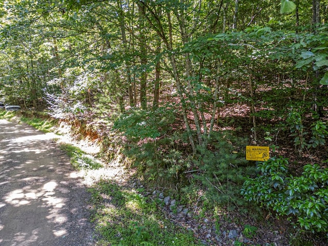 Listing photo 3 for LOT9 Galloway Blvd, Blairsville GA 30512