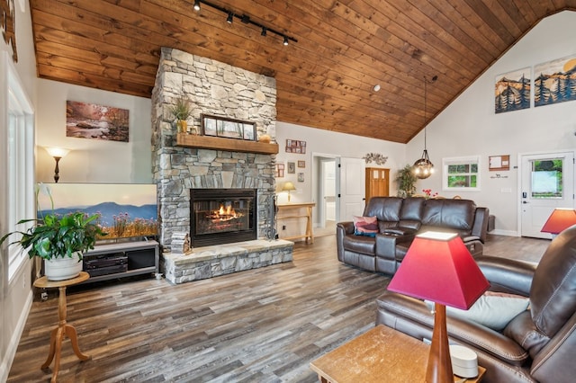 774 Hickory Ridge Dr, Ellijay, GA 30540 - living area with high vaulted ceiling, track lighting, wood finished floors, and a stone fireplace