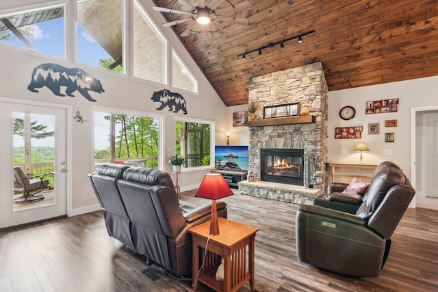 774 Hickory Ridge Dr, Ellijay, GA 30540 - living area featuring a healthy amount of sunlight, high vaulted ceiling, and a fireplace