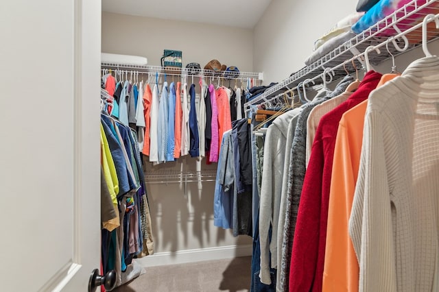 774 Hickory Ridge Dr, Ellijay, GA 30540 - spacious closet featuring carpet
