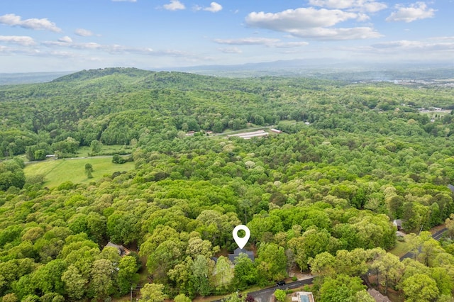 774 Hickory Ridge Dr, Ellijay, GA 30540 - bird's eye view featuring a view of trees and a mountain view