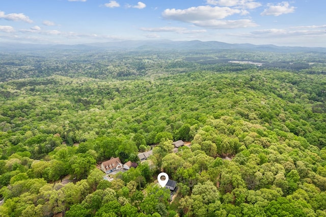 774 Hickory Ridge Dr, Ellijay, GA 30540 - drone / aerial view with a forest view and a mountain view