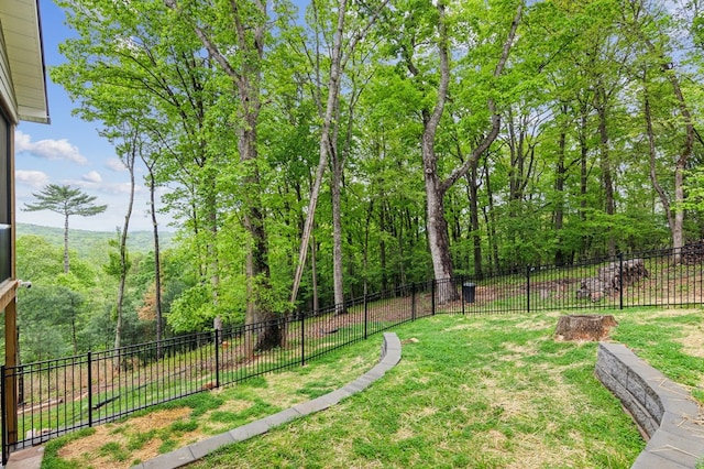 774 Hickory Ridge Dr, Ellijay, GA 30540 - view of yard featuring fence