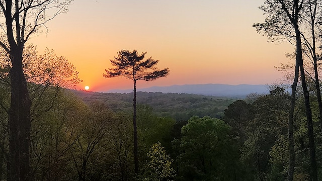 774 Hickory Ridge Dr, Ellijay, GA 30540 - mountain view with a view of trees