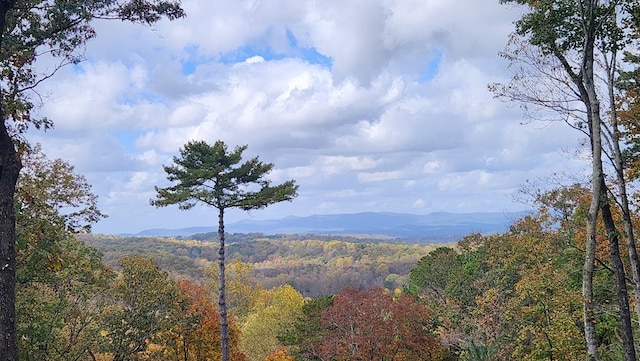 774 Hickory Ridge Dr, Ellijay, GA 30540 - view of mountain feature featuring a forest view