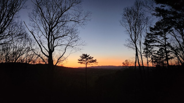 774 Hickory Ridge Dr, Ellijay, GA 30540 - mountain view