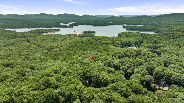 birds eye view of property featuring a water and mountain view and a view of trees