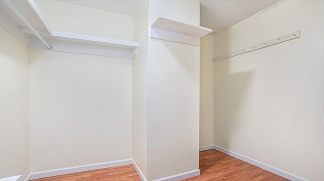 walk in closet with wood finished floors