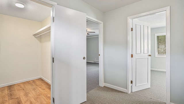 spacious closet with carpet flooring