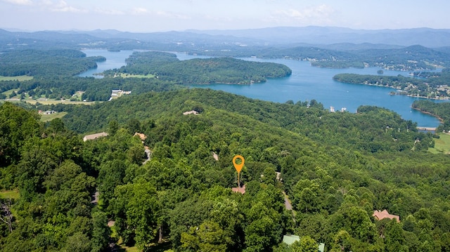 birds eye view of property featuring a water and mountain view