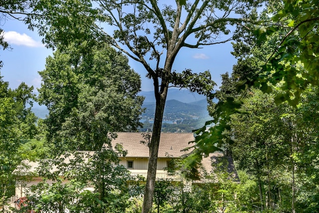 water view with a mountain view