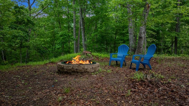 view of yard with an outdoor fire pit