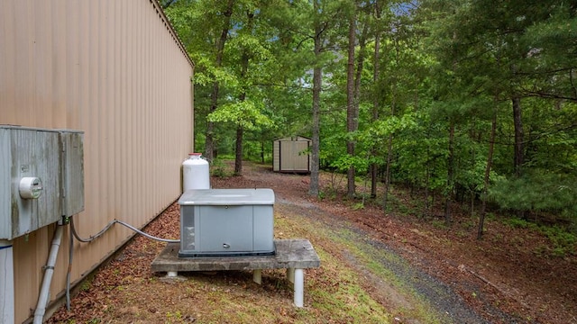 view of yard with a storage unit