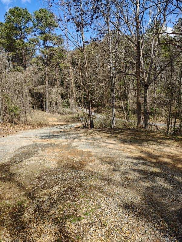 view of yard with driveway