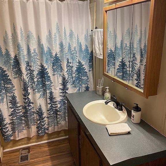 bathroom with visible vents, vanity, a shower with shower curtain, and wood finished floors