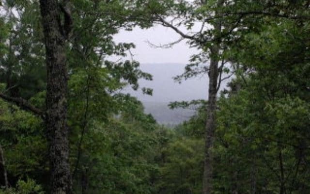 19D Braves Lndg, Murphy NC, 28906 land for sale