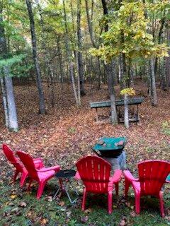 147 Blair Oaks Dr, Blairsville, GA 30512 - view of yard