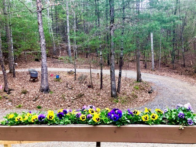 147 Blair Oaks Dr, Blairsville, GA 30512 - view of yard
