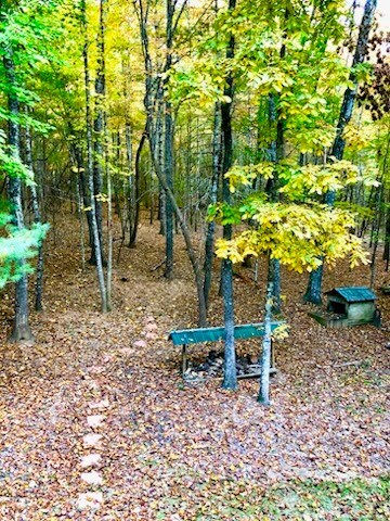 147 Blair Oaks Dr, Blairsville, GA 30512 - view of property's community