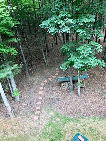 147 Blair Oaks Dr, Blairsville, GA 30512 - view of yard