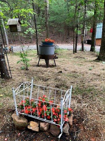 147 Blair Oaks Dr, Blairsville, GA 30512 - view of yard
