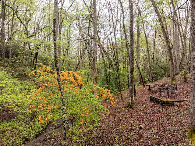 view of nature with a wooded view