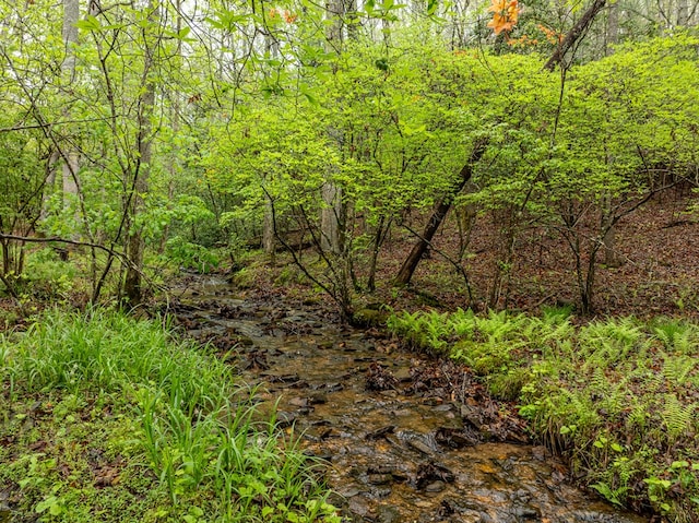 view of nature with a wooded view